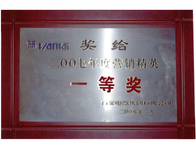 07年度營銷精英一等獎